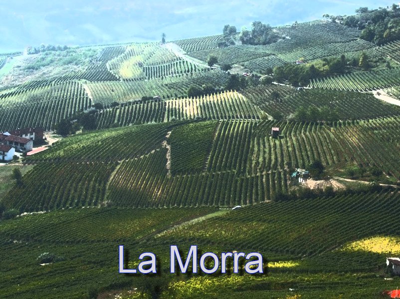 lamorra01.jpg